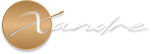 Xandre Logo