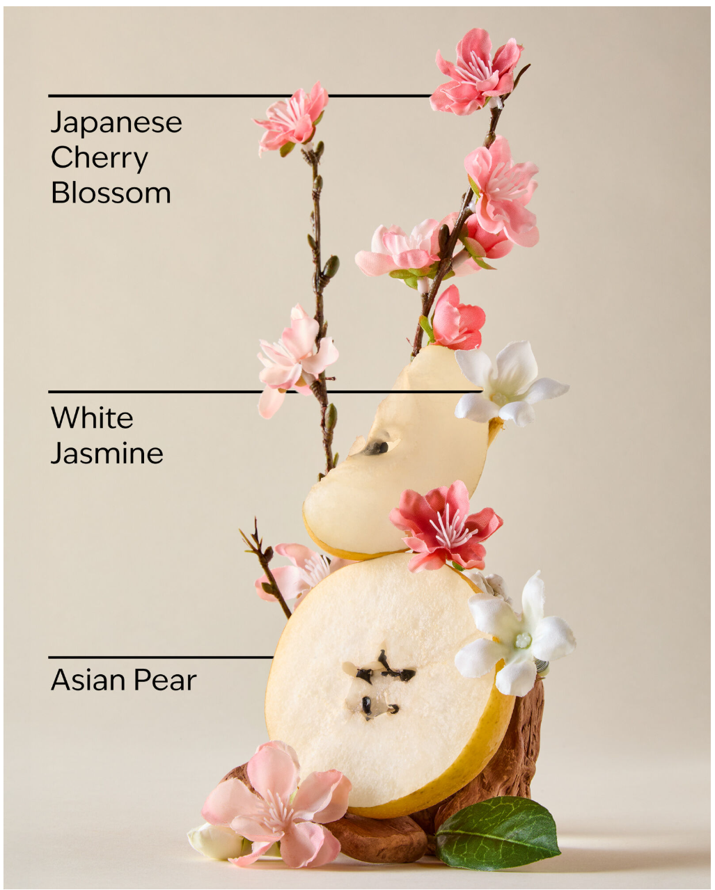 Bath & Body Work Japanese Cherry Blossom Gentle & Clean Foaming Hand Soap - image 2