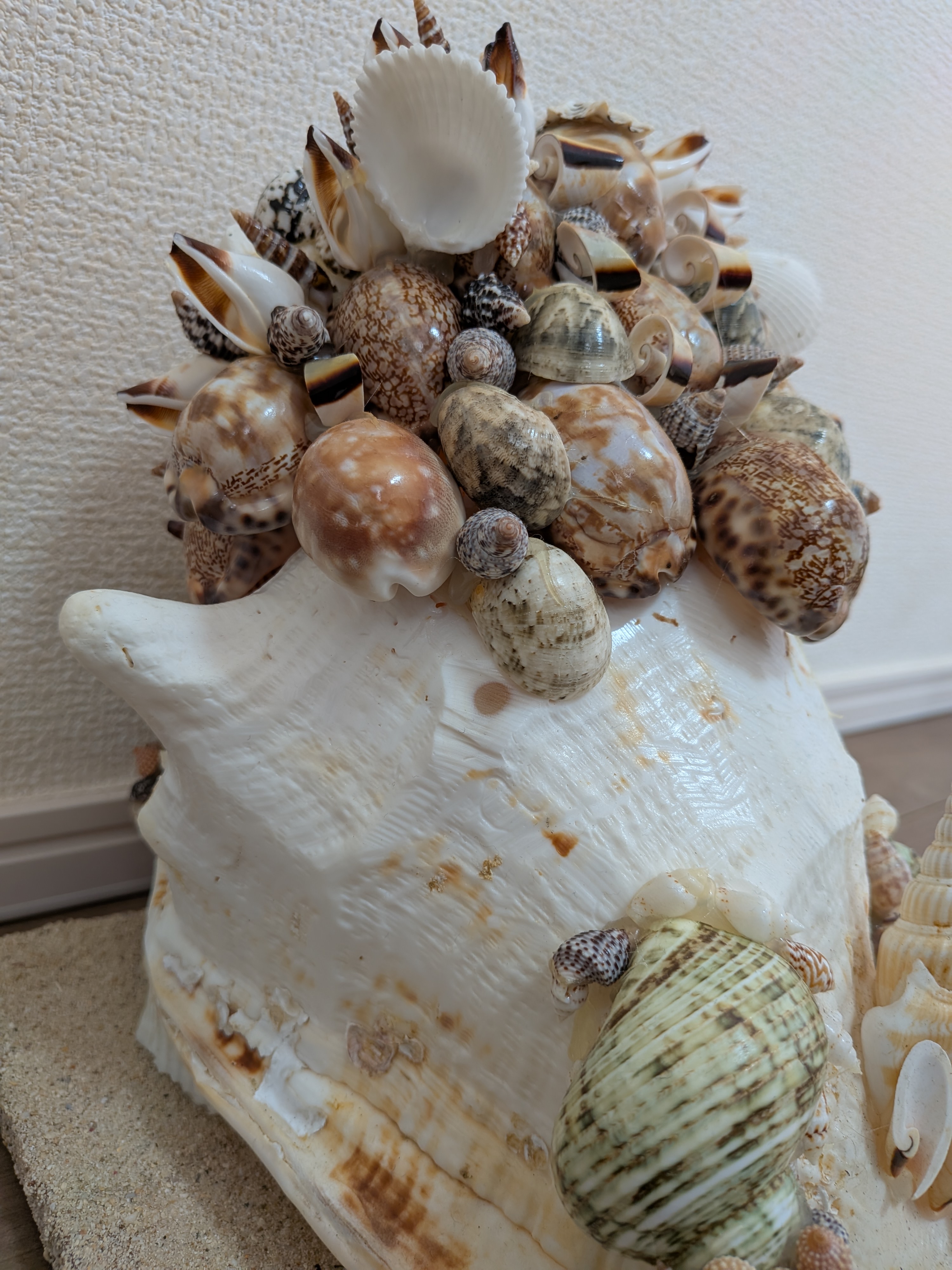 Okinawan Seashell Art Collection: Hand-Assembled Shisa Guardian Sculpture - thumbnail 5