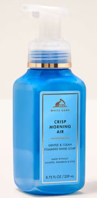 Bath and Body Works Crisp Morning Air Gentle Foaming Hand Soap - thumbnail 2