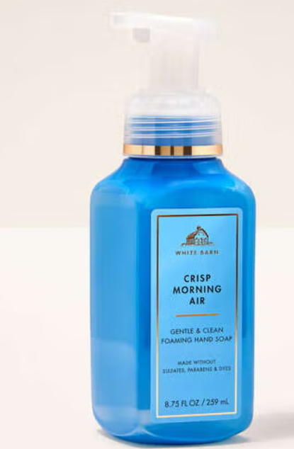 Bath and Body Works Crisp Morning Air Gentle Foaming Hand Soap - image 1